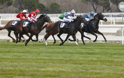 A Day at the Races – Only a Few Miles from The Anchor Inn
